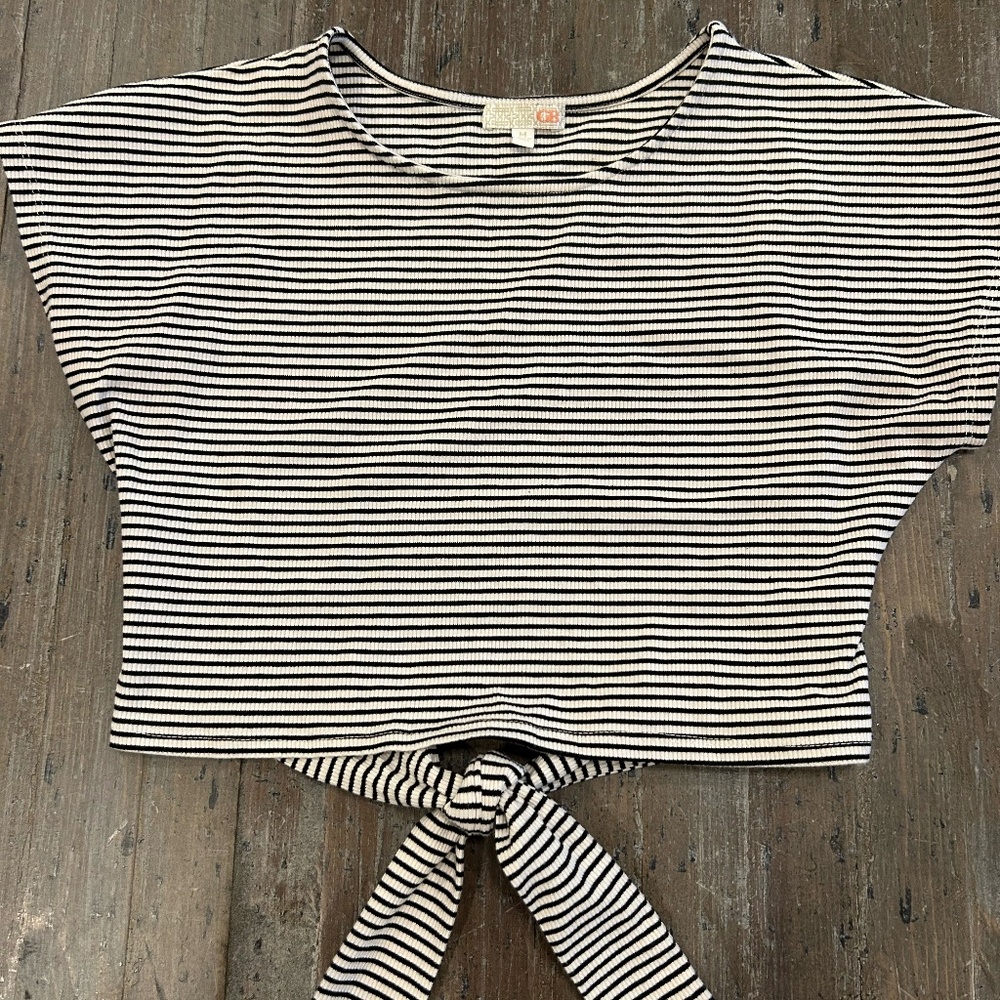 Gianni Bini Crop Tie Top